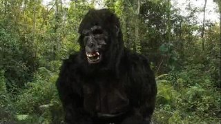 Король Донжы&amp;#039;ы 40oz отказым!