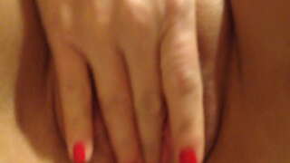 ���र्म बिल्ली