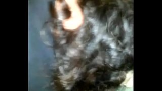 зөрчсөн илжиг миний дэггүй